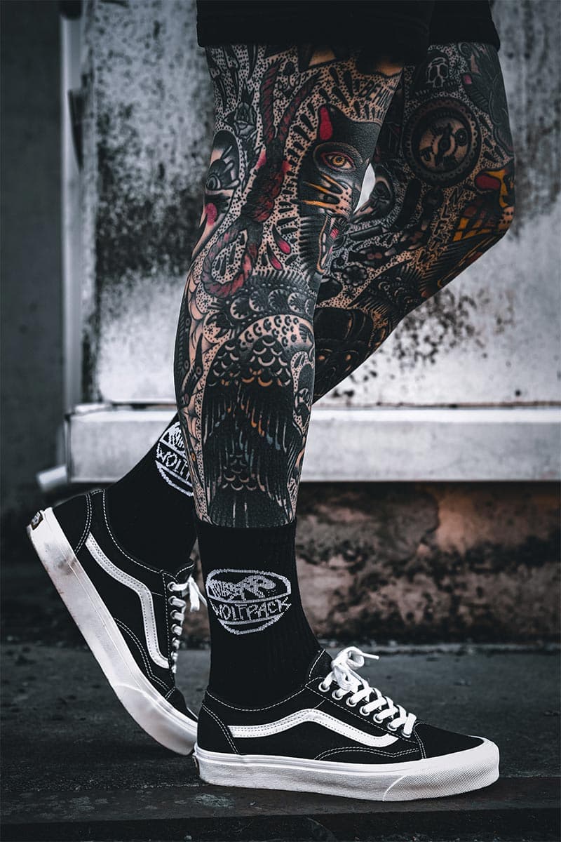 DINOSAUR SOCKS image 3